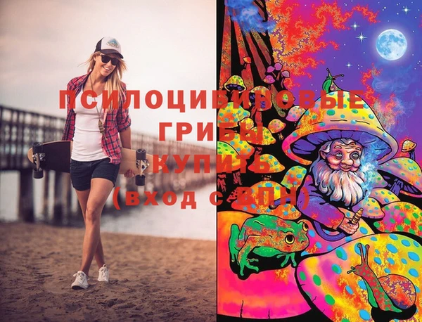 хмурый Горняк