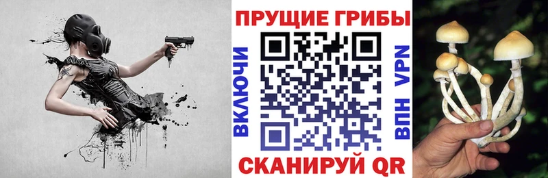 Галлюциногенные грибы ЛСД Новохопёрск